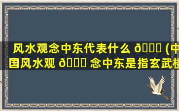风水观念中东代表什么 🐈 (中国风水观 🐎 念中东是指玄武楼吗)